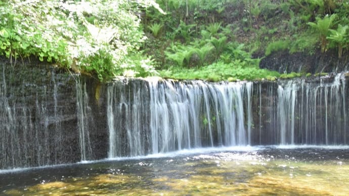 軽井沢白糸の滝 全景はS字型に曲がった形をしています 10