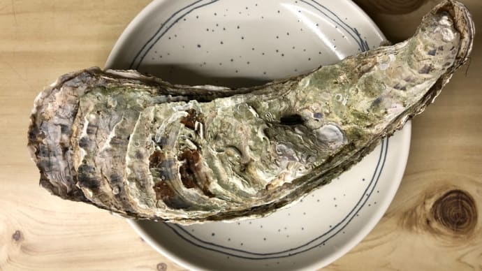 北海道厚岸産『牡蠣』旬な食べ物､､､。