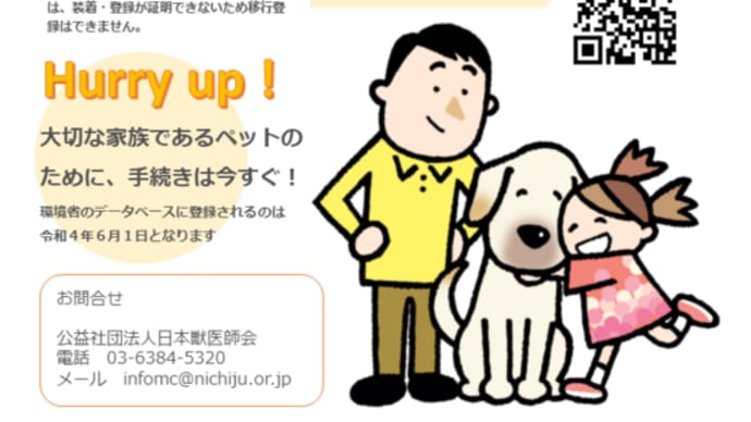 6月1日から犬猫へのマイクロチップ装着が制度化。