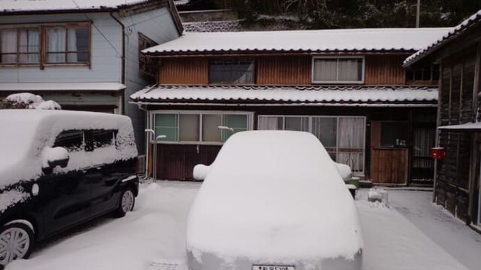 ホワイトクリスマスになりました