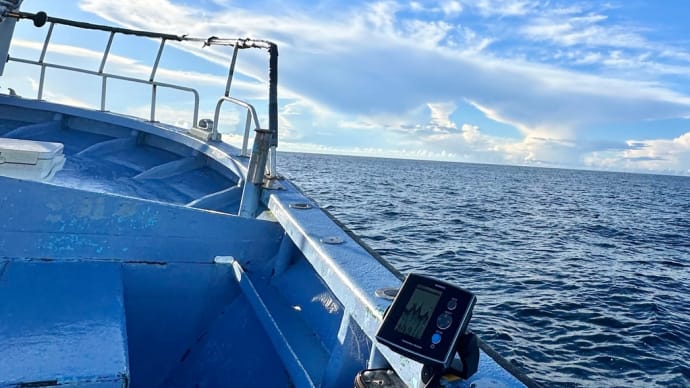 The Last Cruise