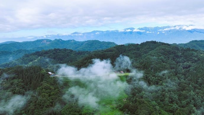 スカイスポーツ公園上空からの風景&我が家の緑のカーテン