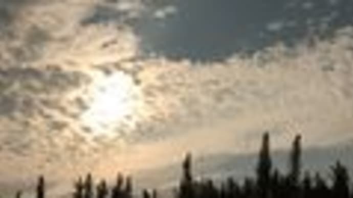 空き家活用熟by自然花