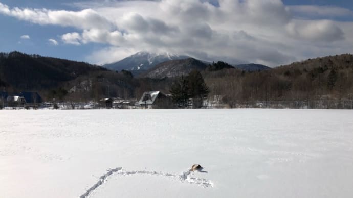 国道361号線