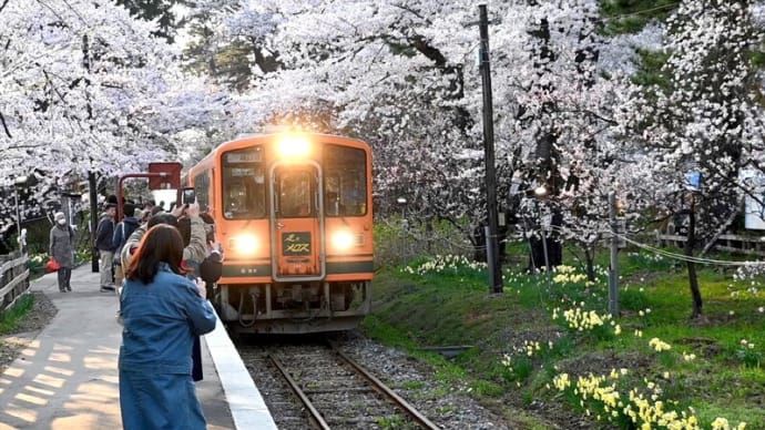 津軽鉄道、芦野公園駅の春