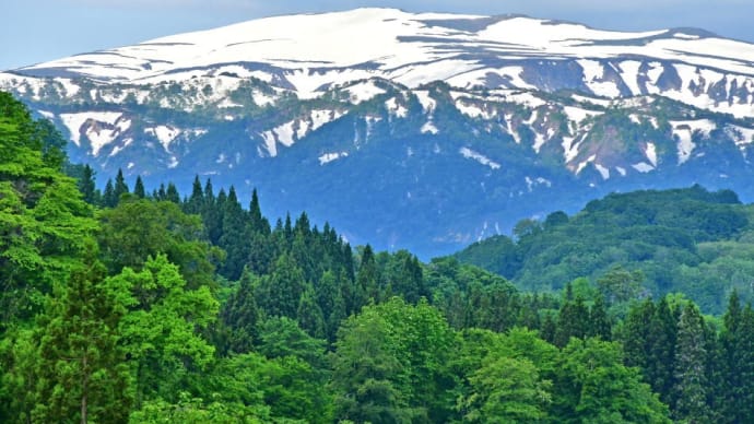 カテゴリー「月山/花と山容」の目次