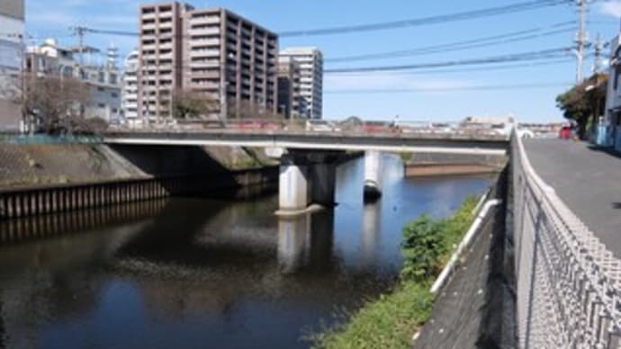 2022神奈川河川ポタリング『境川』⑦柏尾川と合流