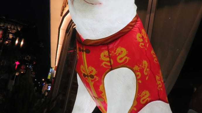 こんな所にソフトバンクのお父さん犬が輝いていました！場所に合わせて衣装も素敵でした。