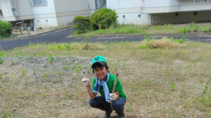 草引きしました(*^_^*)