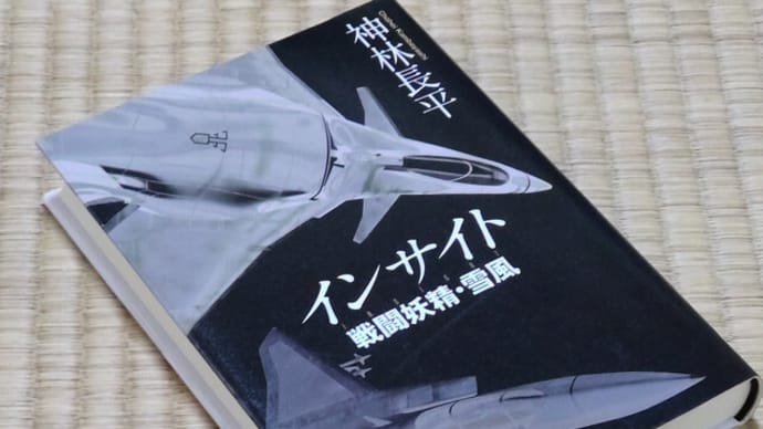 インサイト 戦闘妖精・雪風