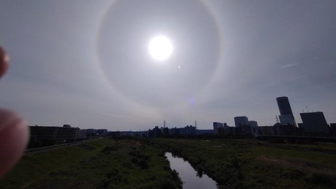 今日の朝の散歩🎵