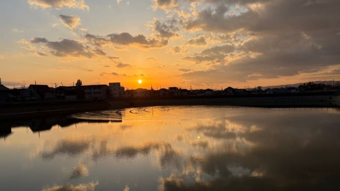 夕方散歩