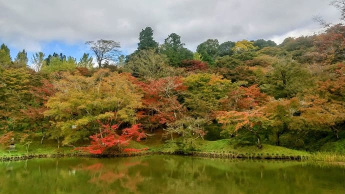 用作(ゆうじゃく)公園に紅葉狩り
