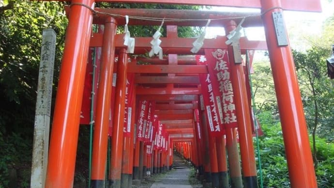 酷暑の中の鎌倉散歩「佐助稲荷神社」♪、(2020夏)。