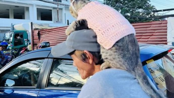 肩のり猫が自転車で街を行く