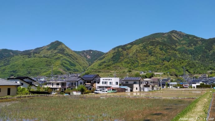 東 太 郎 山（１３０１ｍ）③　　　－ 黄金沢 ↑ ～ ↓ 東太郎山林道 －