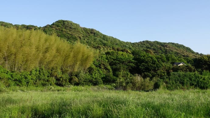 小浜山縦走路