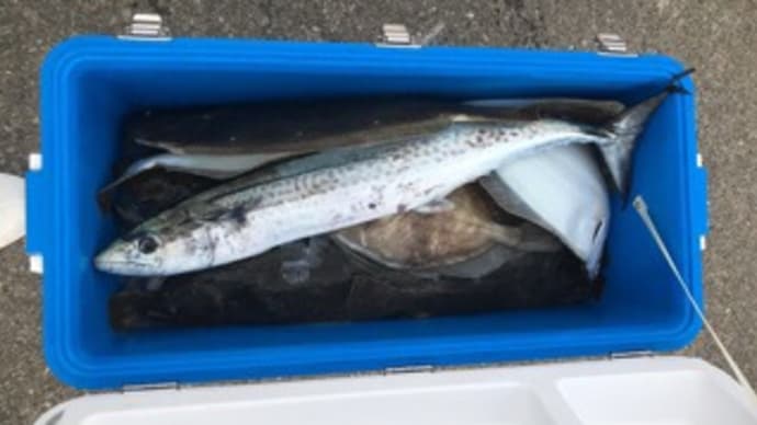 20日・釣果