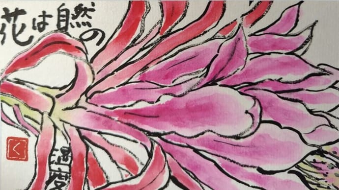 花は自然の温度計…!