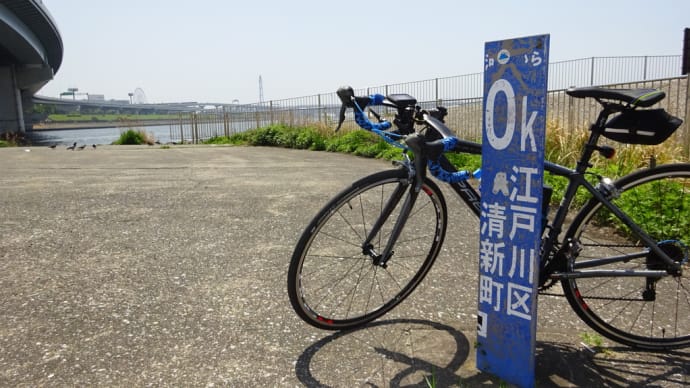 河口まで**kmが本当の河口を表さない!?(葛西臨海公園までロードバイクで行ってみて)