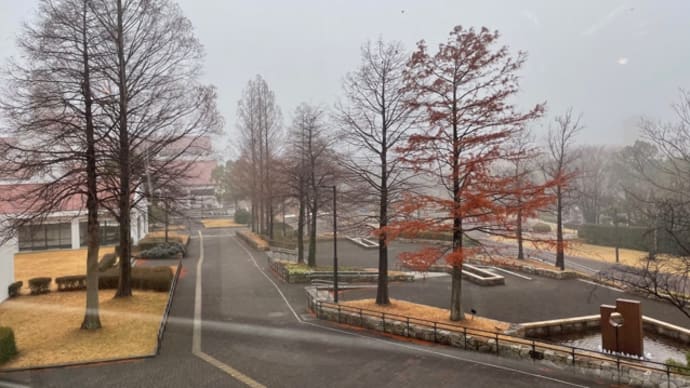 優しい雨の一日