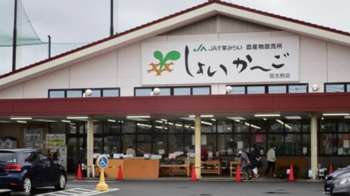 安くなった果物は美味しい