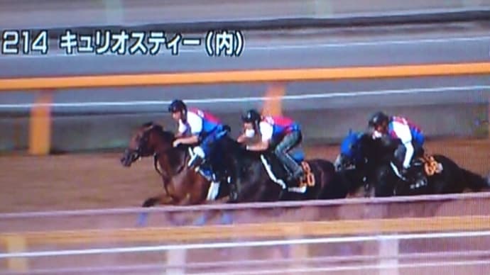 そろそろ本気モードで…
