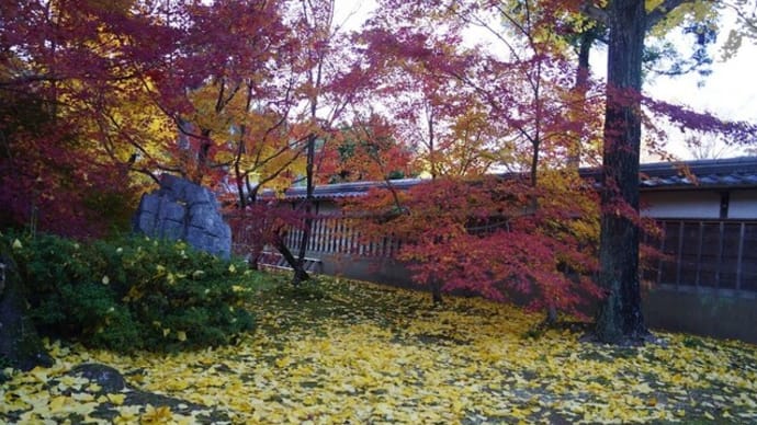 玉城 町「廣泰寺の紅葉」見てきました～(^^)　 №1 