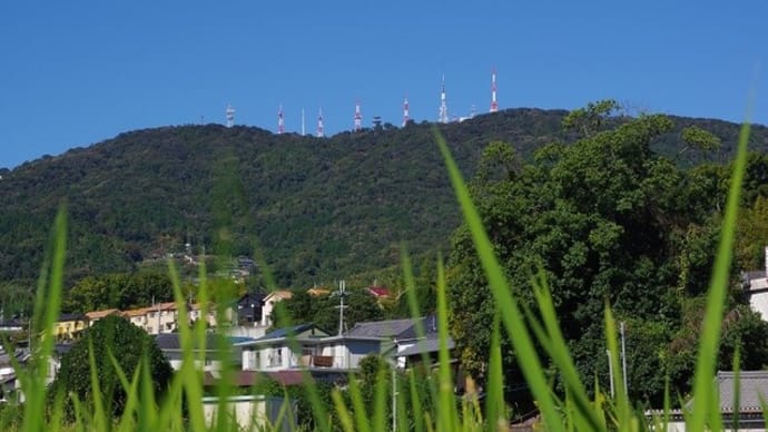 ぼくらの広場から明石海峡大橋も見えた!