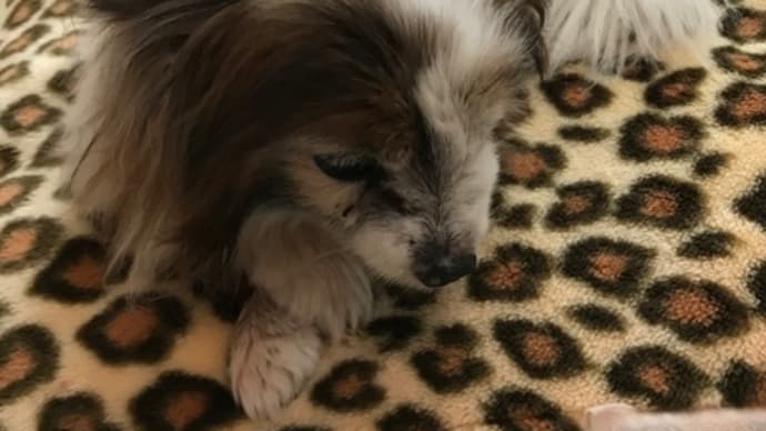 ステージが変わった一日①
