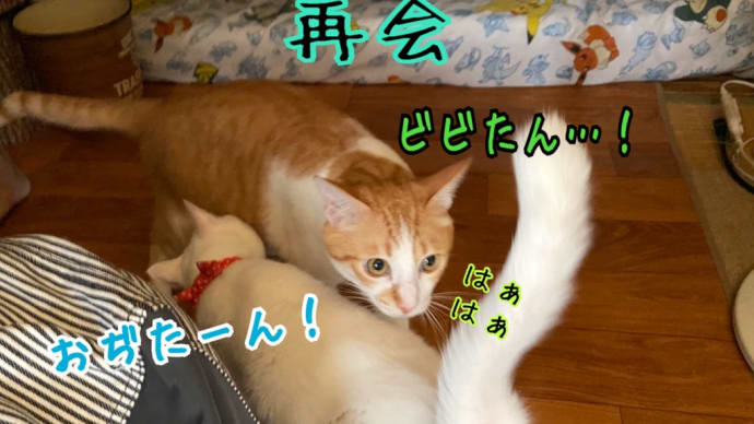 感動(?)の再会