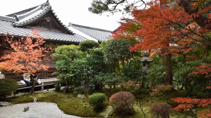 もみじ狩り 京都府右京区 紅葉名所めぐり3日目 【5】-(5)小倉山 二尊院 本堂裏には六地蔵菩薩