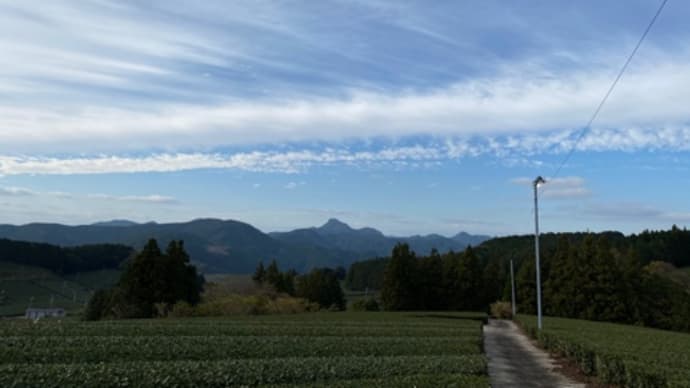 『あうたび』オンラインツアー🌱→10日後開催