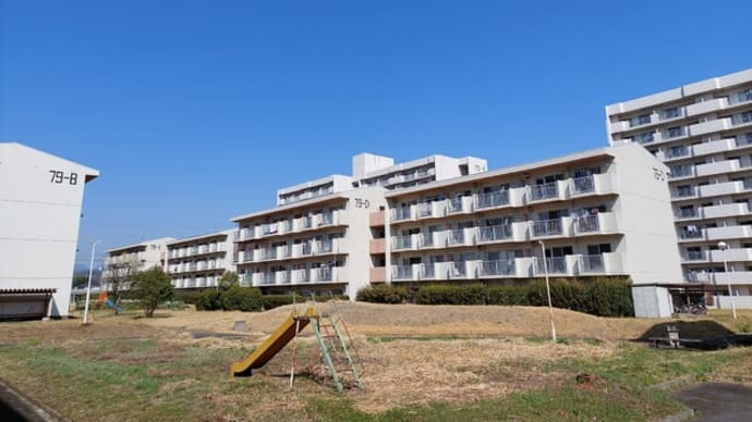 今週の予定!