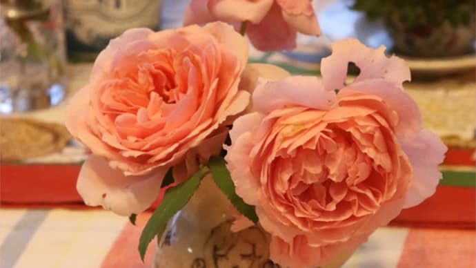 目覚めれば薔薇。