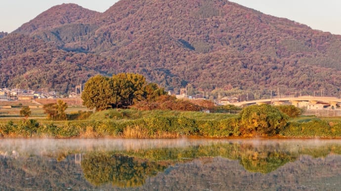 千股池の気嵐(蒸気霧)動画バージョン