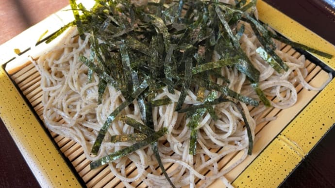 田舎LIFE240127,日本蕎麦,憲法改正署名活動,もつ焼牛すじ煮込み燦,草加市サウナHEAVEN,