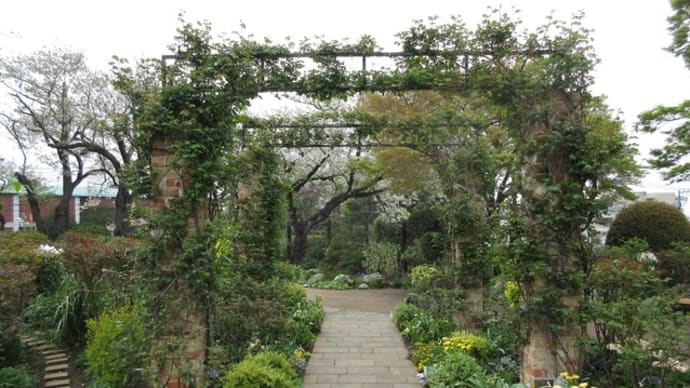 港の見える丘公園 ビビッドカラーの花壇