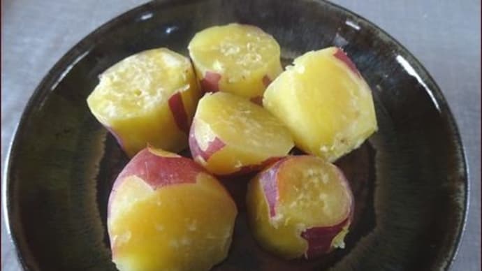 蒸かし芋★やっと種蒔きの準備★唐津まで散歩に