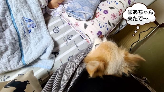 最後に会えました。
