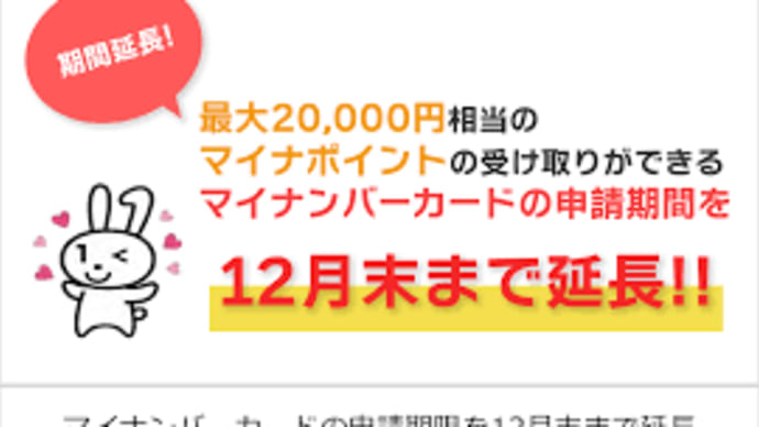 マイナンバーカードは持っていないが