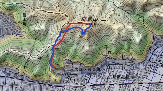 2021-04/03 今日も今日とて 京見山。
