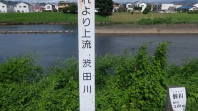 2023神奈川河川ﾎﾟﾀﾘﾝｸﾞ『渋田川』③渋田川と鈴川との合流点