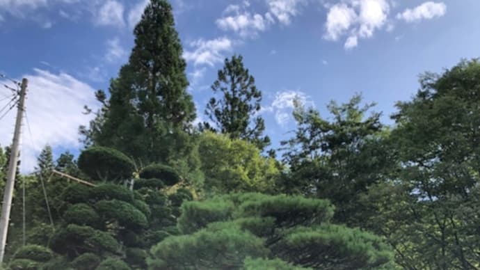大事なお昼寝
