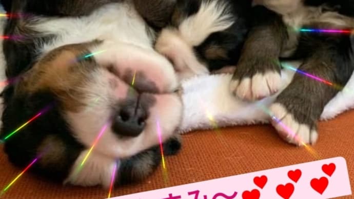 寝る子は育つ〜🥰🥰🥰