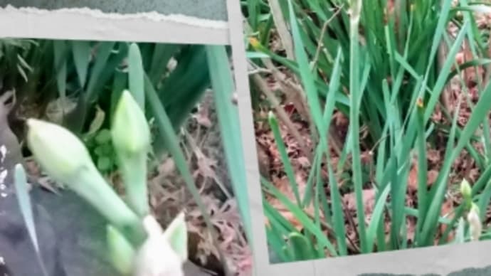 新年だよ！ 土曜日Aクラス(1月前半) ① 低学年組