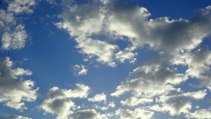 今朝の雲と木槿の花 字を書くのが苦手
