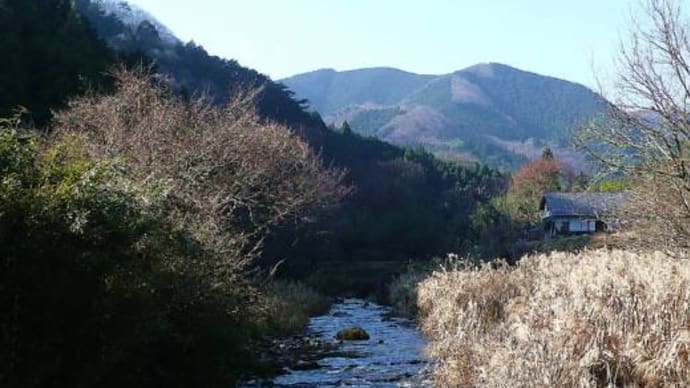永野川上流