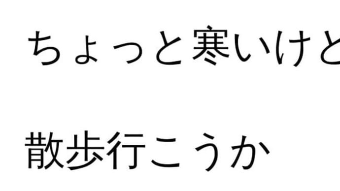 １０月３０日の犬