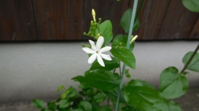 4、バルセロナ ⑤
